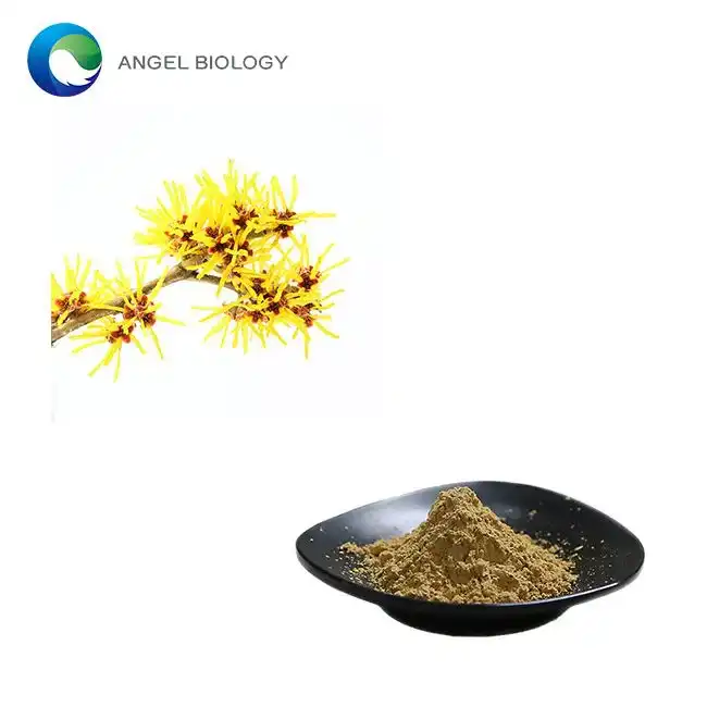 Brazil Imports GMP-Grade Hamamelis Virginiana Extract for High-Volume Production